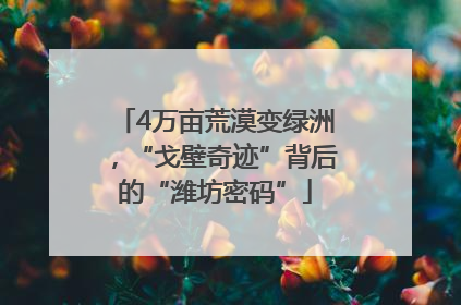 4万亩荒漠变绿洲，“戈壁奇迹”背后的“潍坊密码”