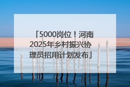5000岗位！河南2025年乡村振兴协理员招用计划发布