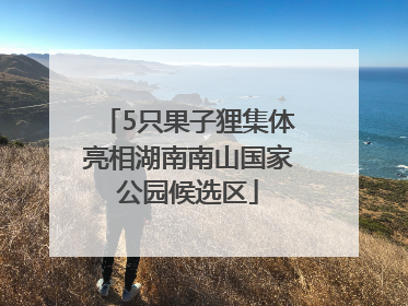 5只果子狸集体亮相湖南南山国家公园候选区