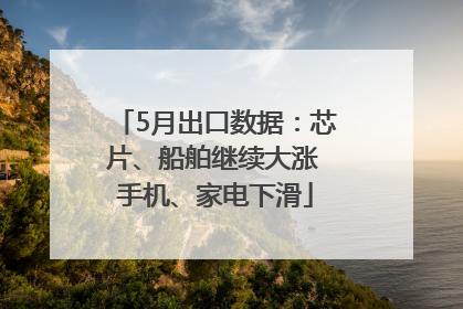5月出口数据：芯片、船舶继续大涨 手机、家电下滑