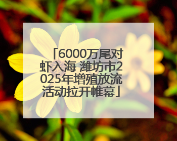 6000万尾对虾入海 潍坊市2025年增殖放流活动拉开帷幕