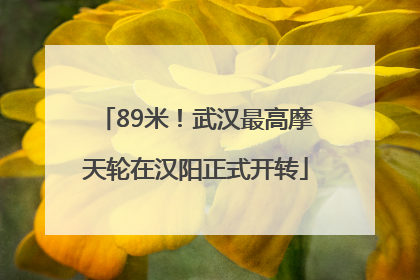 89米！武汉最高摩天轮在汉阳正式开转
