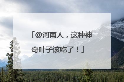 @河南人，这种神奇叶子该吃了！