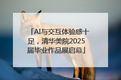 AI与交互体验感十足，清华美院2025届毕业作品展启幕
