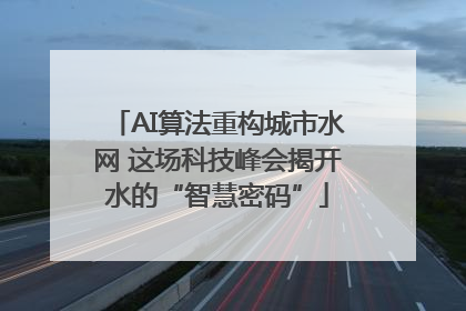 AI算法重构城市水网 这场科技峰会揭开水的“智慧密码”